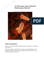 What Are Bacteria? Structure and Reproduction Method in Bacteria.