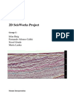 2D Seismic Project