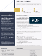 Formato CV Ejecutivo