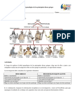 Árbol Genealógico de Los Principales Dioses Griegos