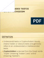 Undescended Testis