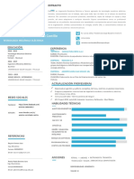 CV Castañedacastillowinstone.