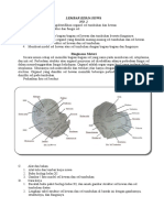 Dokumen - Tips - Organel Sel Biologi Xi