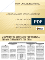 LINEAMIENTOS PARA LA ELABORACIÓN DEL PAGA (1) .pptx2