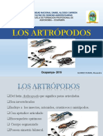 Artropodos