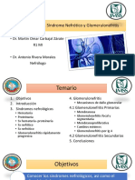 Síndrome Nefrítico, Síndrome Nefrótico y Glomerulonefritis