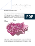 Mitochondria Are Unusual Organelles