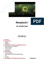 Lecture 7 NeolasiaI 16 416