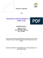 Training & Development at Dabur India LTD.: Project Report