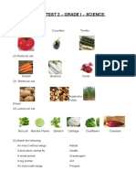 Cycle Test 2 - Grade I - Science