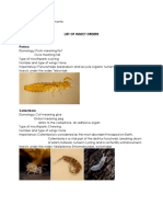 List of Insect Orders: Protura