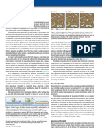 Defining Wettability PDF