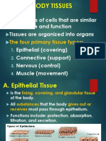 Anatomy - Tissues