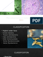 Mycobacterium Tuberculosis