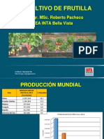 Frutilla 2019 PDF