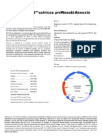 All Ustrious Pmwasabi Annexin