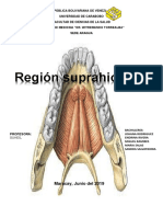 Region Suprahioidea