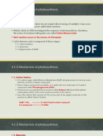 Chapter 4 - Bioenergetics (Part 2)