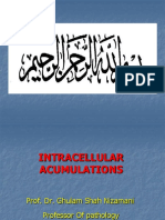 9.intracellular Accumulations 1