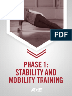 Ace Phase 1 - Stability and Mobility Training