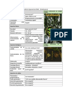 Ficha #15 Guatteria Hyposericea Diel (Carahuasca)