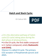 Hatch and Slack Cycle