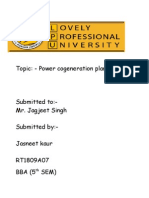 Topic: - Power Cogeneration Plant: Term Paper OF Project Management