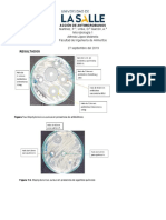 Informe Antibioticos