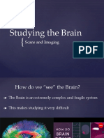 Brain Imaging Techniques