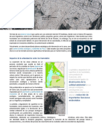 Parcial - Humedales de Santa Julia - 02