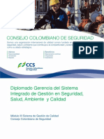 Sistema de Gestion Integrado Modulo Iii Iso 9001