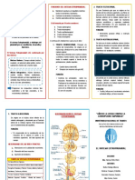 Triptico Del Sistema Extrapiramidal-1