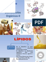 Biomoléculas Orgánicas-II