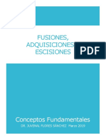 Fusiones Adq Des 1