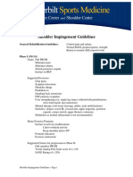 Shoulder Impingement Exercise Guidelines PDF