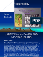 Jarawas Case Study