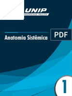 Anatomia Sistêmica