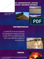 DESERTIFICACIÓN