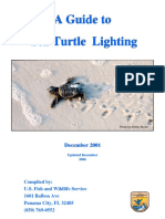 Beachfront Lighting Guide