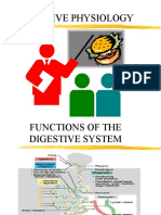 Digestion Physiology A&p II