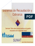 Sistemas de Recaudacion y Cobranza SS SUNAT Juan Carlos Granda G