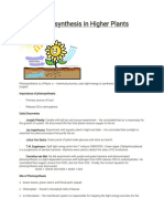 Photosynthesis in Higher Plants