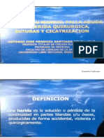 Heridas PDF