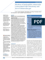 Opacification of Hydrophilic Intraocular Lenses Associated With Vitrectomy and Injection of Intraocular Gas