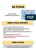 Urea Cycle: DR Fasiha Fatima Department of Biochemistry