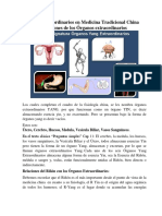 Órganos Extraordinarios en Medicina Tradicional China