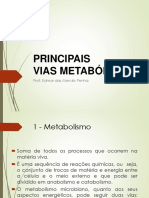 Slide H - Vias Metabólicas - Ago2015 PDF