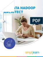 Big Data Hadoop Architect - V4