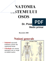 Anatomia Sistemului Osos