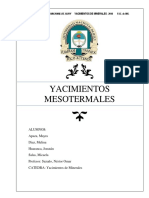 Tema 8 - Mesotermal PDF